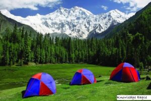 fairy meadows