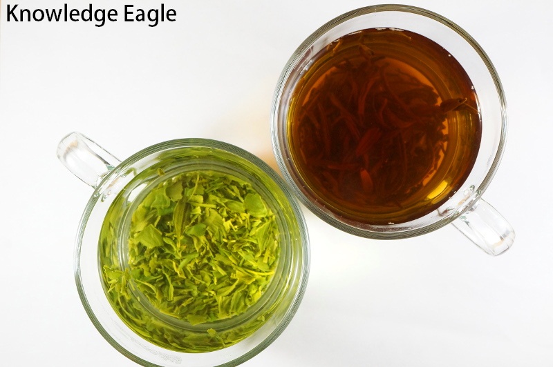 Black Tea vs Green Tea