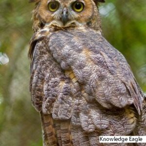 Brevard Zoological Park - Melbourne, Florida